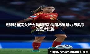 险或将再次